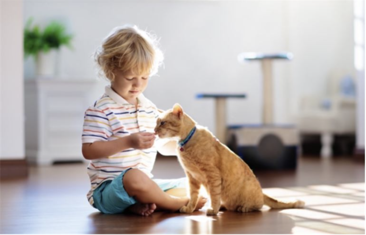Why This Veterinary Clinic Scored A 9.2 Out Of 10